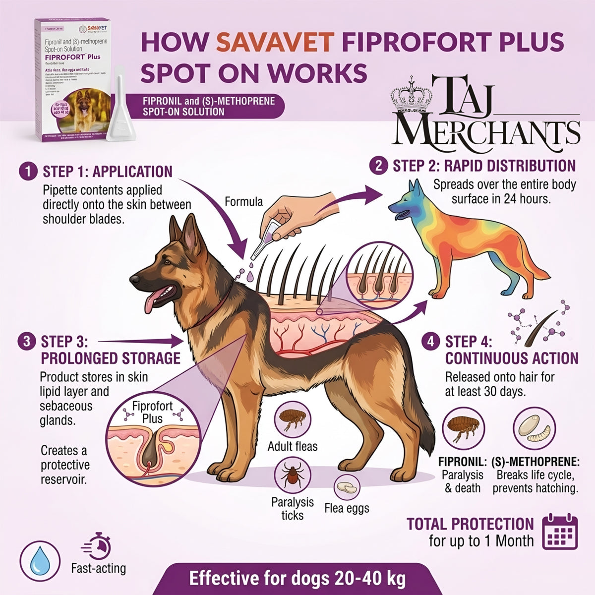 Savavet Fiprofort Spot on (20-40 kg)