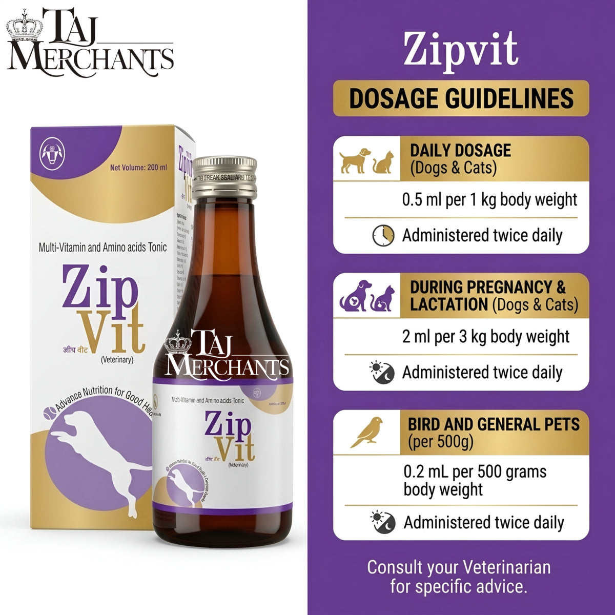 Intas Zipvit Syrup