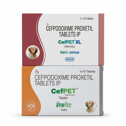 Intas Cefpet Tablet
