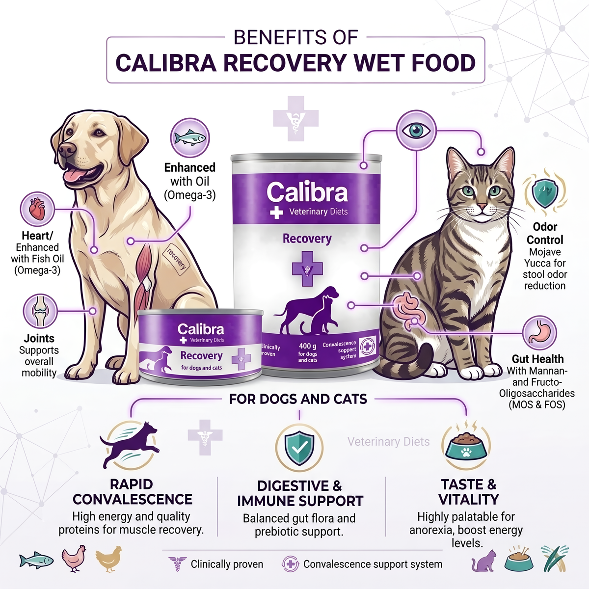 Calibra Recovery Wet food for Dogs and Cats